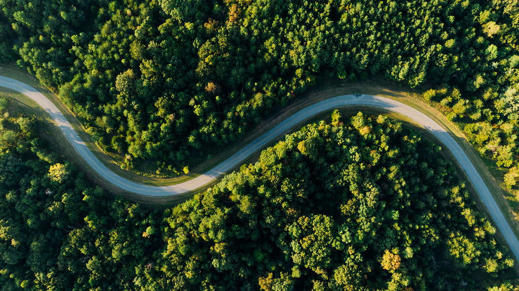 View from above over a road embedded by a forest.
