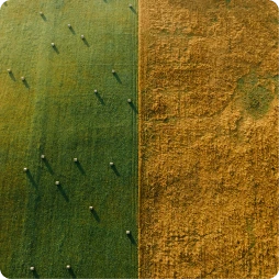 Drone view of fields